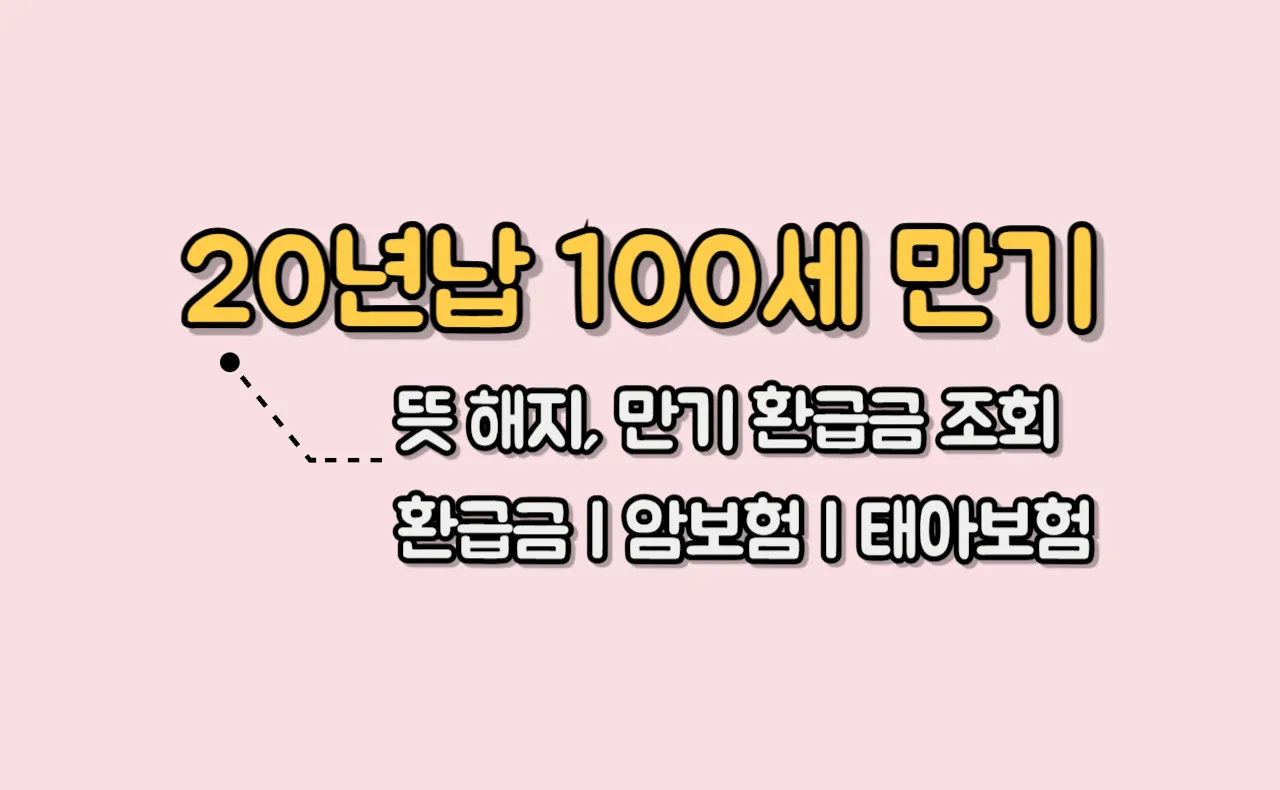 20년납 100세 만기